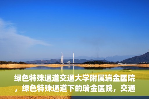 绿色特殊通道交通大学附属瑞金医院，绿色特殊通道下的瑞金医院，交通大学附属瑞金医院的探索与实践