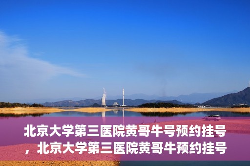 北京大学第三医院黄哥牛号预约挂号，北京大学第三医院黄哥牛预约挂号攻略，轻松预约专家号