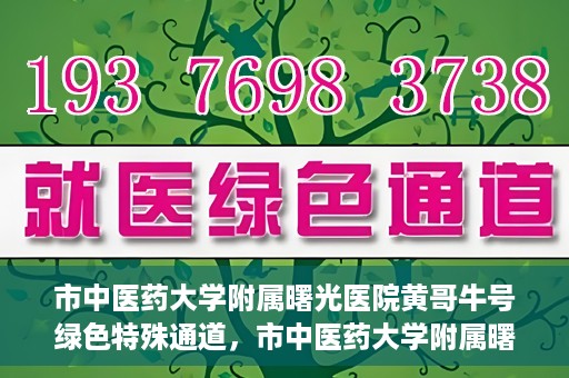 市中医药大学附属曙光医院黄哥牛号绿色特殊通道，市中医药大学附属曙光医院黄哥牛号，绿色特殊通道开启健康之门