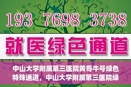 中山大学附属第三医院黄哥牛号绿色特殊通道，中山大学附属第三医院绿色特殊通道，黄哥牛号引领医疗创新之路