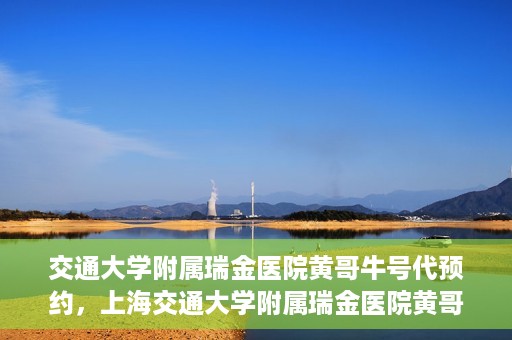 交通大学附属瑞金医院黄哥牛号代预约，上海交通大学附属瑞金医院黄哥牛号预约服务解析