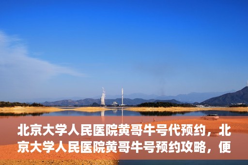 北京大学人民医院黄哥牛号代预约，北京大学人民医院黄哥牛号预约攻略，便捷代预约服务解析
