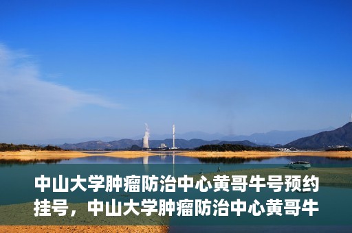 中山大学肿瘤防治中心黄哥牛号预约挂号，中山大学肿瘤防治中心黄哥牛号预约挂号攻略解析