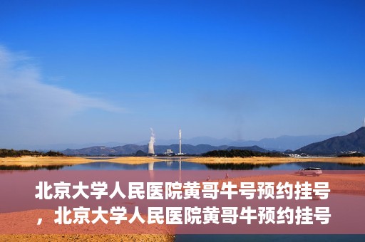 北京大学人民医院黄哥牛号预约挂号，北京大学人民医院黄哥牛预约挂号攻略，轻松预约，便捷就医
