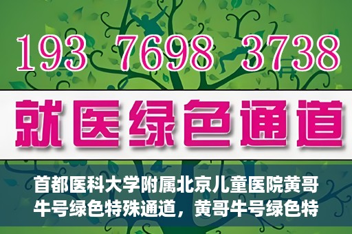 首都医科大学附属北京儿童医院黄哥牛号绿色特殊通道，黄哥牛号绿色特殊通道——北京儿童医院创新医疗服务的探索与实践