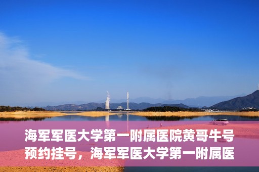 海军军医大学第一附属医院黄哥牛号预约挂号，海军军医大学第一附属医院黄哥牛号预约挂号攻略，轻松挂号，健康无忧！