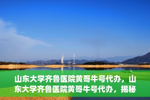 山东大学齐鲁医院黄哥牛号代办，山东大学齐鲁医院黄哥牛号代办，揭秘背后的故事与真相
