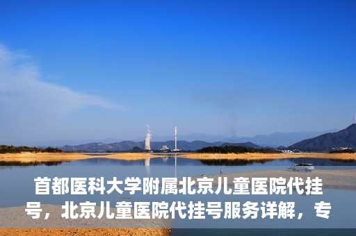 首都医科大学附属北京儿童医院代挂号，北京儿童医院代挂号服务详解，专业医疗与便捷服务的结合