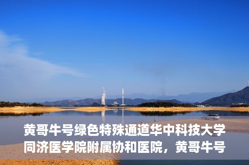 黄哥牛号绿色特殊通道华中科技大学同济医学院附属协和医院，黄哥牛号开启绿色特殊通道，华中科技大学同济医学院附属协和医院助力健康中国行动