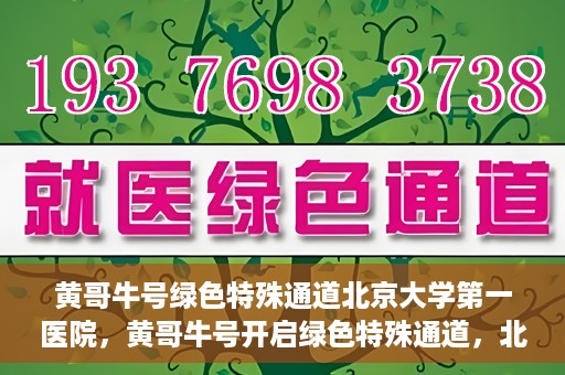 黄哥牛号绿色特殊通道北京大学第一医院，黄哥牛号开启绿色特殊通道，北京大学第一医院全力护航健康之路