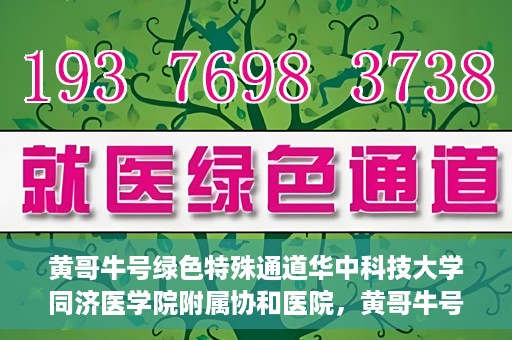 黄哥牛号绿色特殊通道华中科技大学同济医学院附属协和医院，黄哥牛号开启绿色特殊通道，华中科技大学同济医学院附属协和医院助力健康中国行动