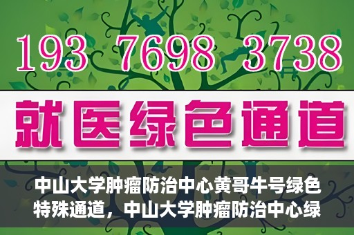 中山大学肿瘤防治中心黄哥牛号绿色特殊通道，中山大学肿瘤防治中心绿色特殊通道——黄哥牛号的守护力量