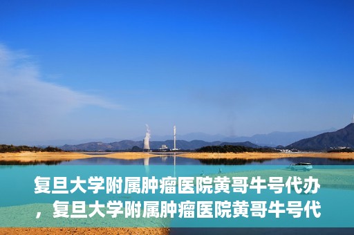 复旦大学附属肿瘤医院黄哥牛号代办，复旦大学附属肿瘤医院黄哥牛号代办，真相揭秘与深度解析