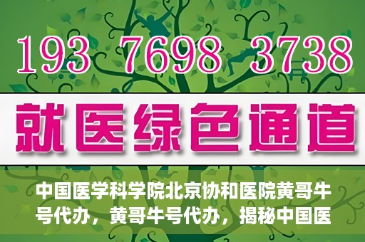 中国医学科学院北京协和医院黄哥牛号代办，黄哥牛号代办，揭秘中国医学科学院北京协和医院背后的故事