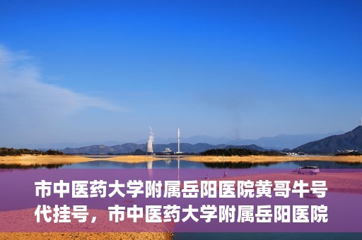 市中医药大学附属岳阳医院黄哥牛号代挂号，市中医药大学附属岳阳医院黄哥牛号代挂号服务解析