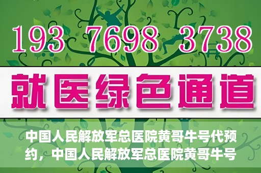 中国人民解放军总医院黄哥牛号代预约，中国人民解放军总医院黄哥牛号预约服务解析