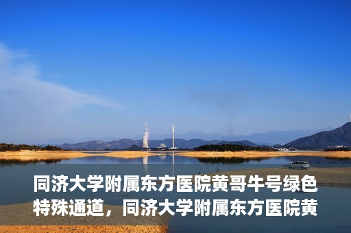 同济大学附属东方医院黄哥牛号绿色特殊通道，同济大学附属东方医院黄哥牛号，绿色特殊通道开启健康之门