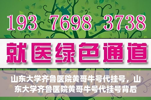 山东大学齐鲁医院黄哥牛号代挂号，山东大学齐鲁医院黄哥牛号代挂号背后的故事与探索