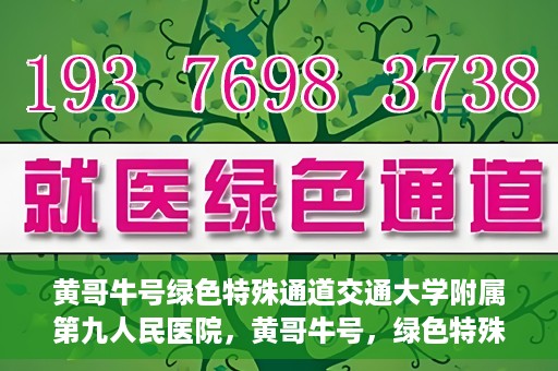 黄哥牛号绿色特殊通道交通大学附属第九人民医院，黄哥牛号，绿色特殊通道下的交通大学附属第九人民医院新篇章