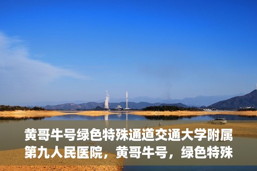 黄哥牛号绿色特殊通道交通大学附属第九人民医院，黄哥牛号，绿色特殊通道下的交通大学附属第九人民医院新篇章