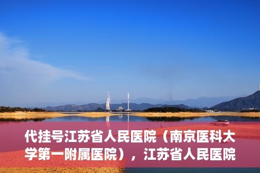 代挂号江苏省人民医院（南京医科大学第一附属医院），江苏省人民医院代挂号服务详解，一站式解决就医难题