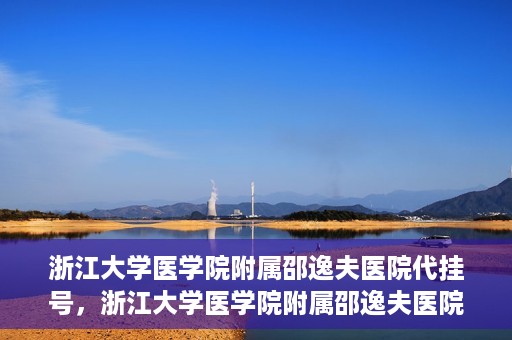 浙江大学医学院附属邵逸夫医院代挂号，浙江大学医学院附属邵逸夫医院代挂号服务详解