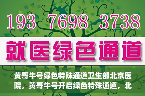 黄哥牛号绿色特殊通道卫生部北京医院，黄哥牛号开启绿色特殊通道，北京医院卫生部全力支持创新服务