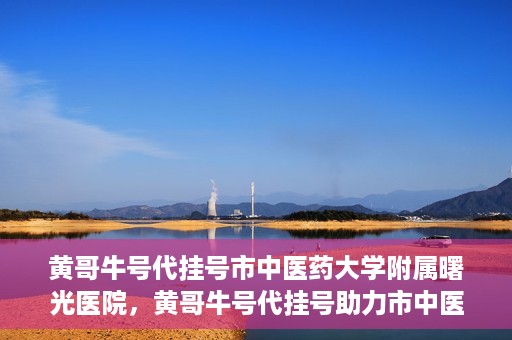 黄哥牛号代挂号市中医药大学附属曙光医院，黄哥牛号代挂号助力市中医药大学附属曙光医院就医无忧