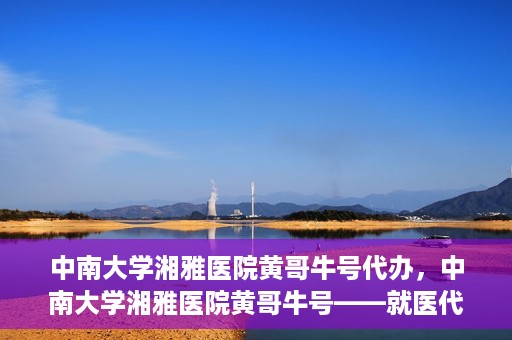 中南大学湘雅医院黄哥牛号代办，中南大学湘雅医院黄哥牛号——就医代办服务详解