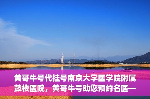 黄哥牛号代挂号南京大学医学院附属鼓楼医院，黄哥牛号助您预约名医——南京鼓楼医院挂号新体验