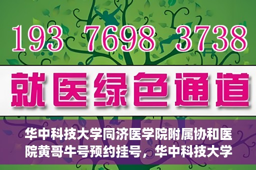 华中科技大学同济医学院附属协和医院黄哥牛号预约挂号，华中科技大学同济医学院附属协和医院黄哥牛号预约挂号攻略解析