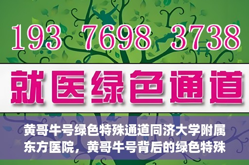黄哥牛号绿色特殊通道同济大学附属东方医院，黄哥牛号背后的绿色特殊通道，同济大学附属东方医院的探索与实践