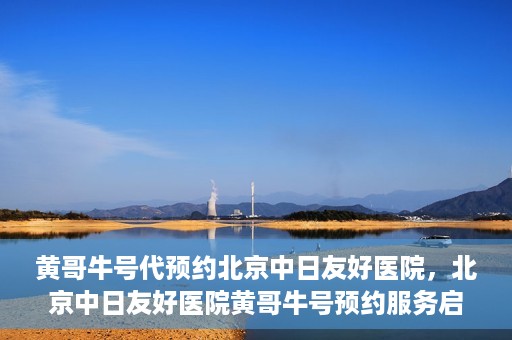 黄哥牛号代预约北京中日友好医院，北京中日友好医院黄哥牛号预约服务启动