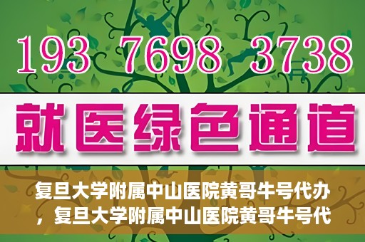复旦大学附属中山医院黄哥牛号代办，复旦大学附属中山医院黄哥牛号代办，权威医疗资源的深度解读与便捷服务体验