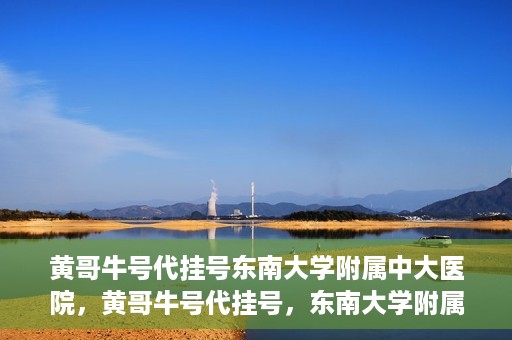 黄哥牛号代挂号东南大学附属中大医院，黄哥牛号代挂号，东南大学附属中大医院的医疗新风尚