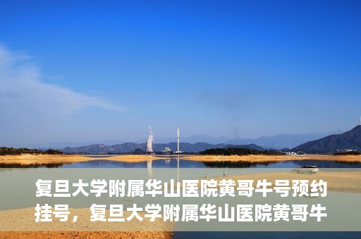 复旦大学附属华山医院黄哥牛号预约挂号，复旦大学附属华山医院黄哥牛号预约挂号攻略详解