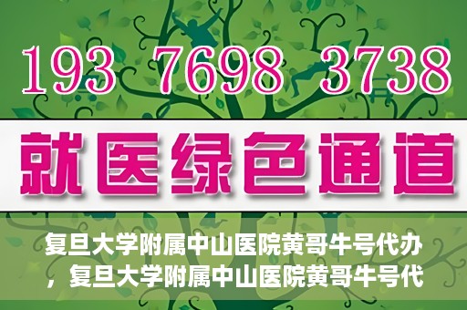 复旦大学附属中山医院黄哥牛号代办，复旦大学附属中山医院黄哥牛号代办，权威医疗资源的深度解读与便捷服务体验