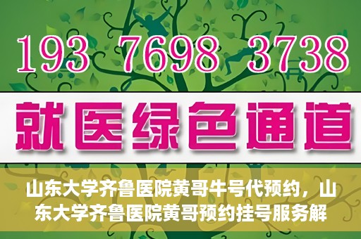 山东大学齐鲁医院黄哥牛号代预约，山东大学齐鲁医院黄哥预约挂号服务解析