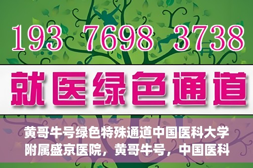 黄哥牛号绿色特殊通道中国医科大学附属盛京医院，黄哥牛号，中国医科大学附属盛京医院开启绿色特殊通道助力医疗进步