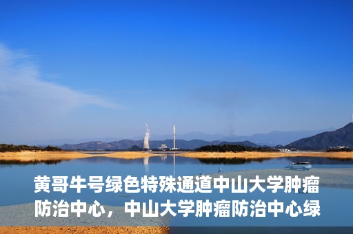 黄哥牛号绿色特殊通道中山大学肿瘤防治中心，中山大学肿瘤防治中心绿色特殊通道，黄哥牛号引领健康新航向