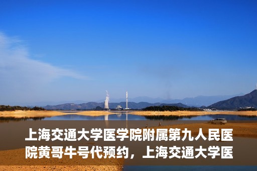 上海交通大学医学院附属第九人民医院黄哥牛号代预约，上海交通大学医学院附属第九人民医院黄哥牛号预约攻略，轻松预约挂号体验