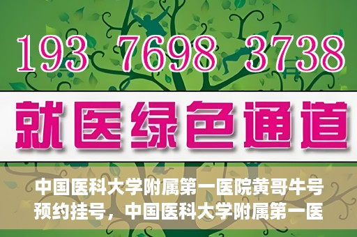 中国医科大学附属第一医院黄哥牛号预约挂号，中国医科大学附属第一医院黄哥牛号预约挂号指南，轻松挂号，健康无忧！