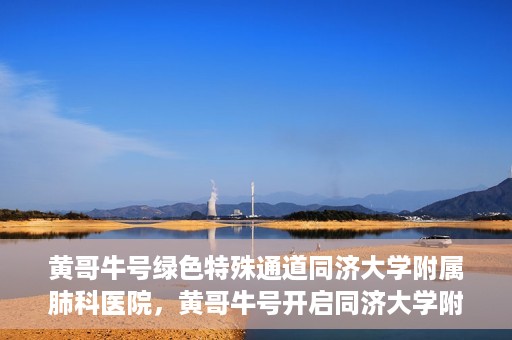 黄哥牛号绿色特殊通道同济大学附属肺科医院，黄哥牛号开启同济大学附属肺科医院绿色特殊通道助力健康之路