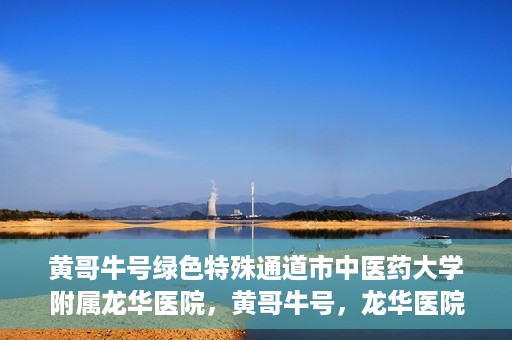 黄哥牛号绿色特殊通道市中医药大学附属龙华医院，黄哥牛号，龙华医院开启绿色特殊通道，倡导中医药文化传承