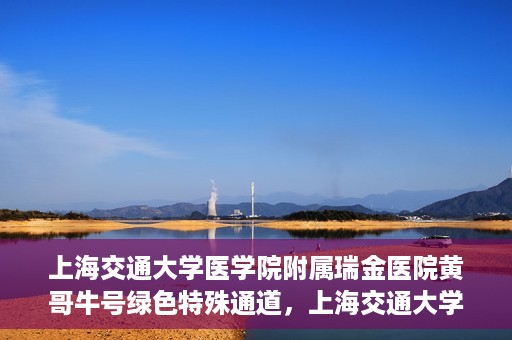 上海交通大学医学院附属瑞金医院黄哥牛号绿色特殊通道，上海交通大学医学院附属瑞金医院黄哥牛号，绿色特殊通道开启健康之门