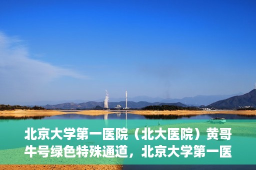 北京大学第一医院（北大医院）黄哥牛号绿色特殊通道，北京大学第一医院绿色特殊通道，黄哥牛号的探索与实践