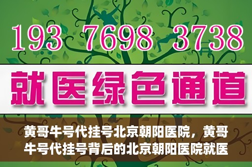 黄哥牛号代挂号北京朝阳医院，黄哥牛号代挂号背后的北京朝阳医院就医现象观察