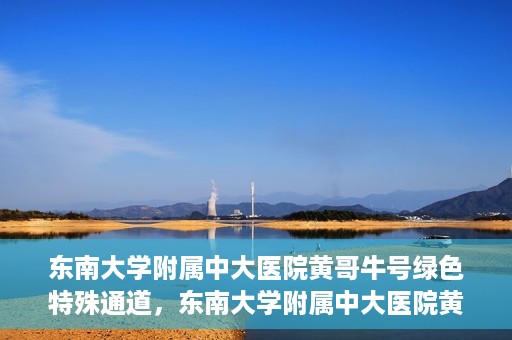 东南大学附属中大医院黄哥牛号绿色特殊通道，东南大学附属中大医院黄哥牛号，绿色特殊通道开启生命之门