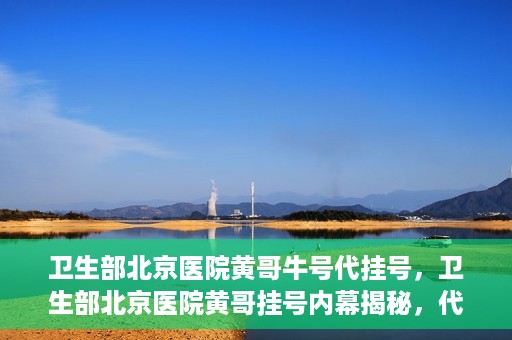 卫生部北京医院黄哥牛号代挂号，卫生部北京医院黄哥挂号内幕揭秘，代挂号背后的故事