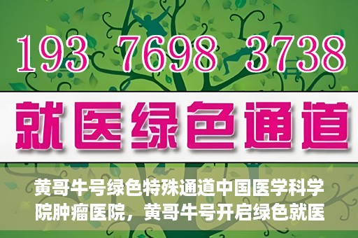 黄哥牛号绿色特殊通道中国医学科学院肿瘤医院，黄哥牛号开启绿色就医通道，中国医学科学院肿瘤医院专注诊疗新篇章